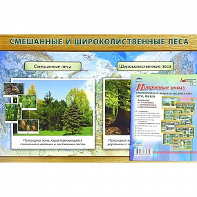 Комплект плакатов (Учитель) (Природные зоны: смешанные и широкол (4 плаката) А3) КПЛ-78