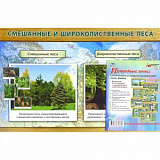 Комплект плакатов (Учитель) (Природные зоны: смешанные и широкол (4 плаката) А3) КПЛ-78
