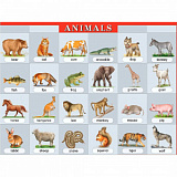 Плакат Англ. язык. Животные. Animals. (А) 