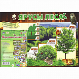 Комплект плакатов (Учитель) (Природные сообщества (8 плакатов) КПЛ-132 А3)