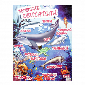 Плакат Морские обитатели А2